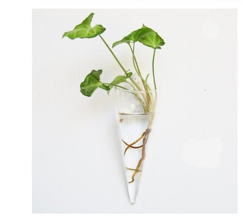 Bubbly™ Hydroponic Vases